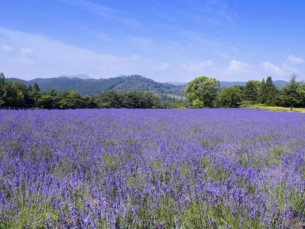 Menard Aoyama Resort: Wafukan Utatsukasa 伊賀市 エクステリア 写真